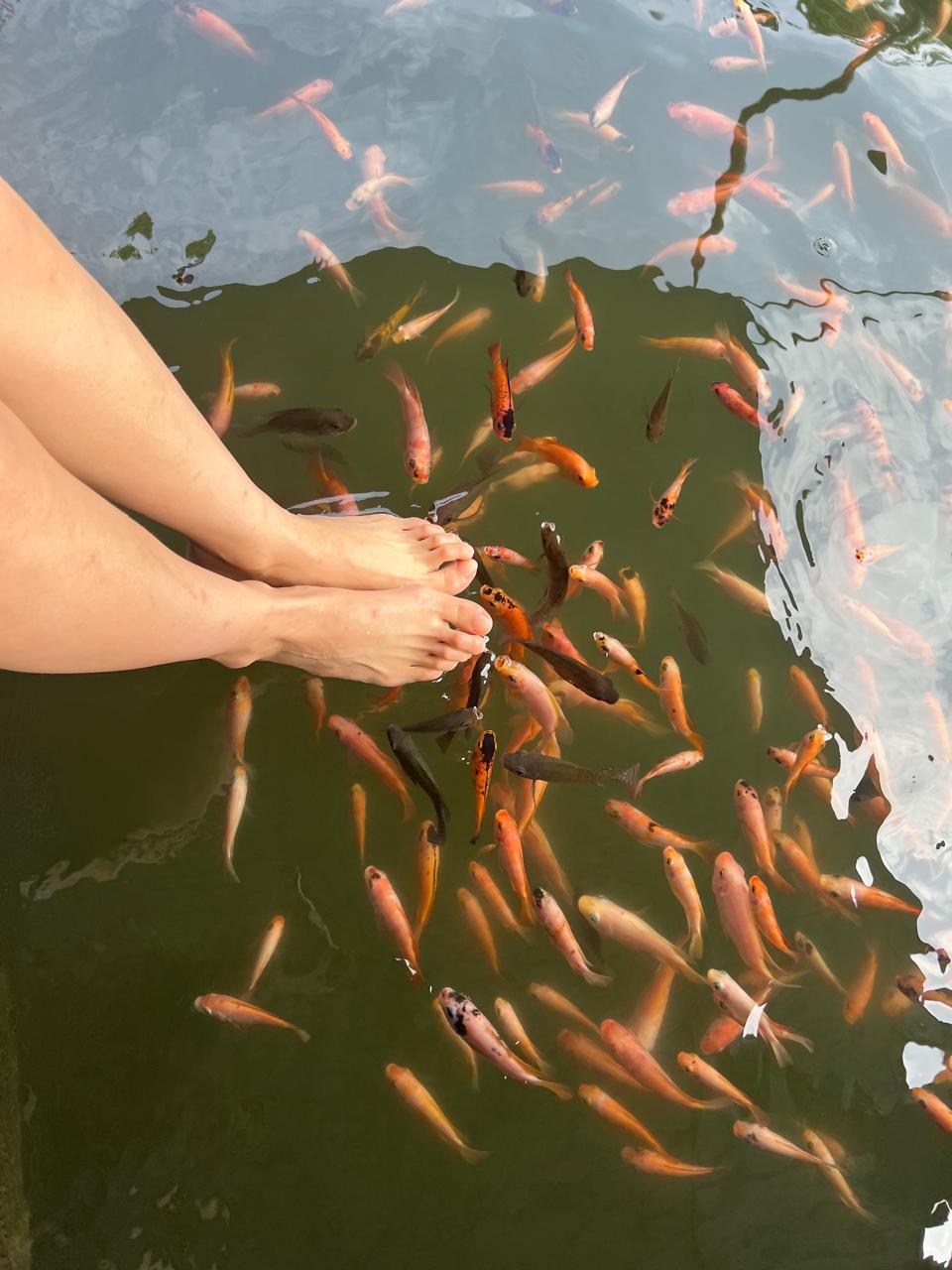 WhatsApp Image 2025-08-21 at 12.54.03 (1).jpeg